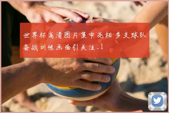 世界杯高清图片集中亮相 多支球队备战训练画面引关注_1
